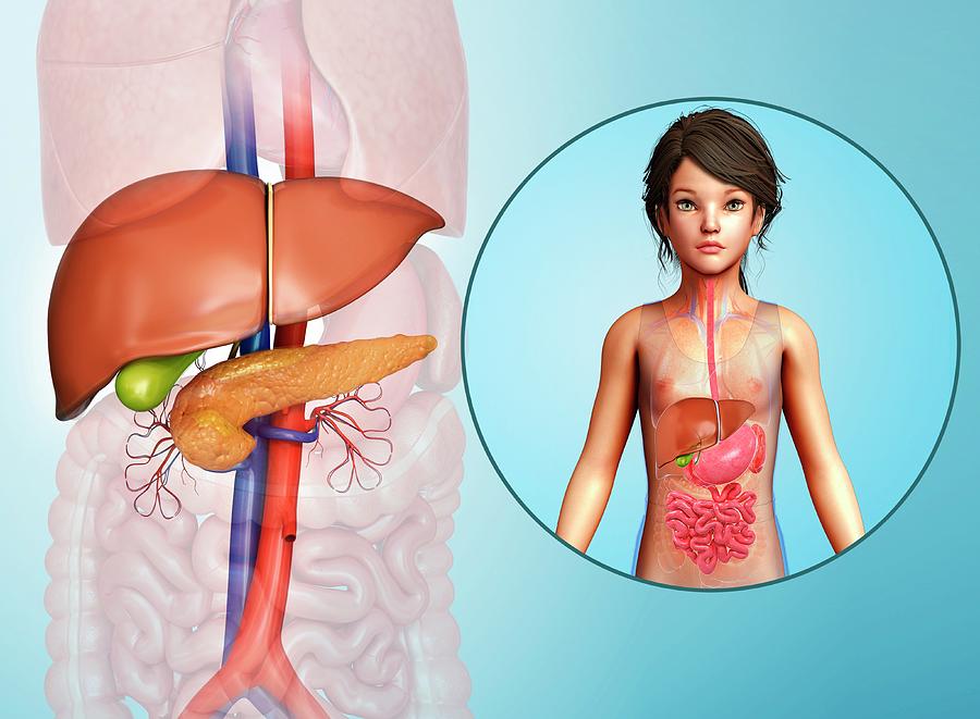 livertreatments