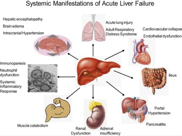 livertreatments